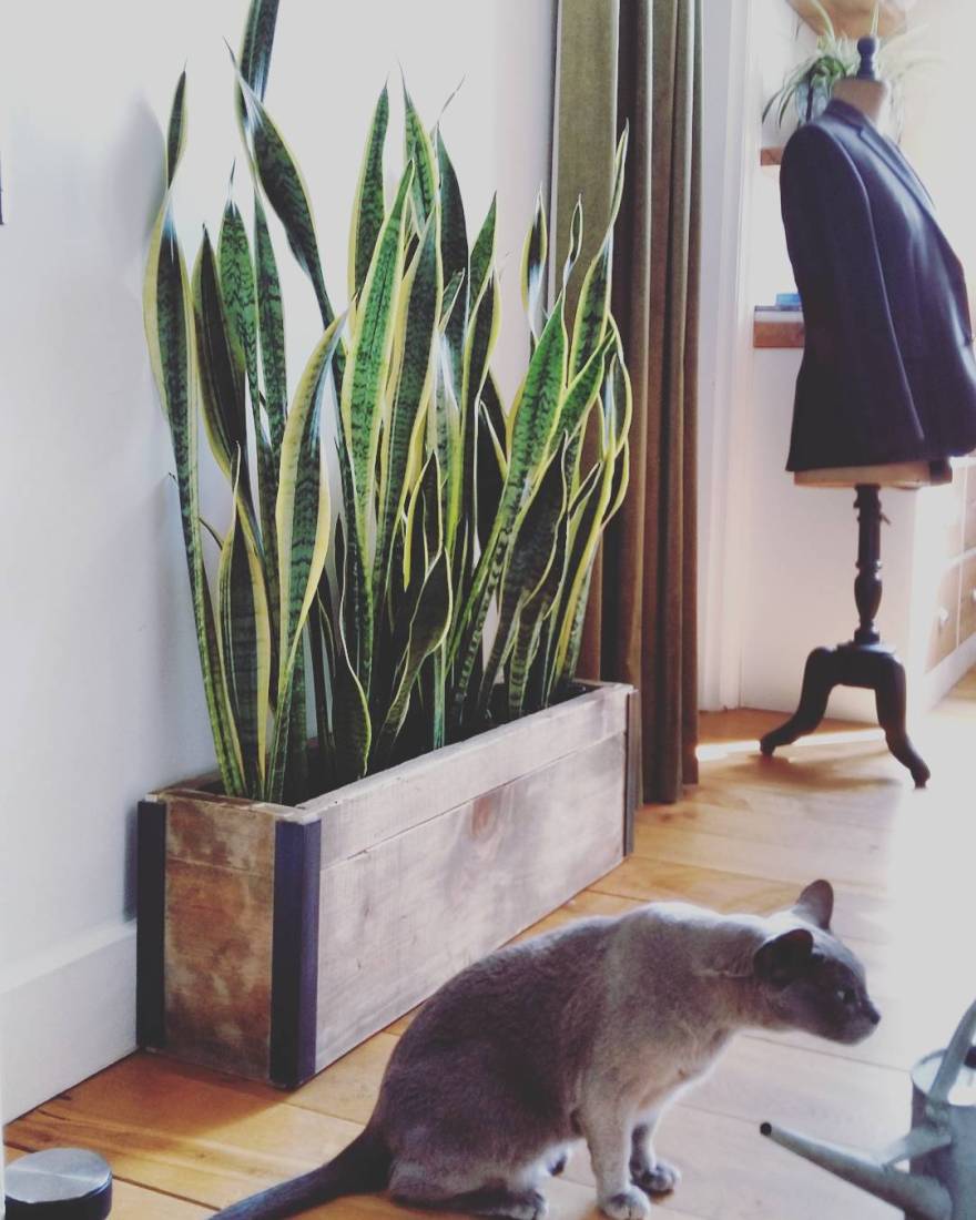 IMG_20170515_173427_162