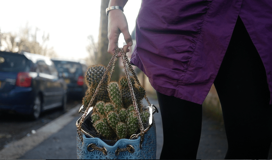 Screen Shot 2018-02-15 at 19.06.14