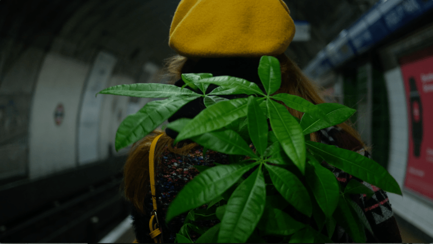 Screen Shot 2018-02-15 at 19.07.04