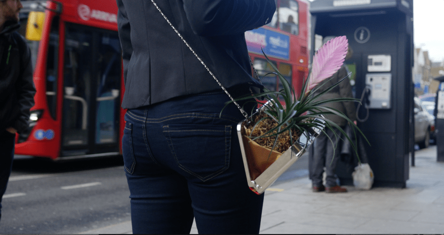 Screen Shot 2018-02-15 at 19.09.28