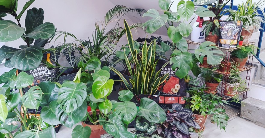 F08C3CD4-ED2D-4460-93E9-BE78654BB807