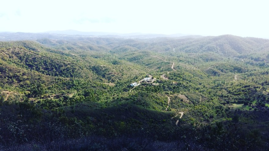 Wild View Retreat Wide